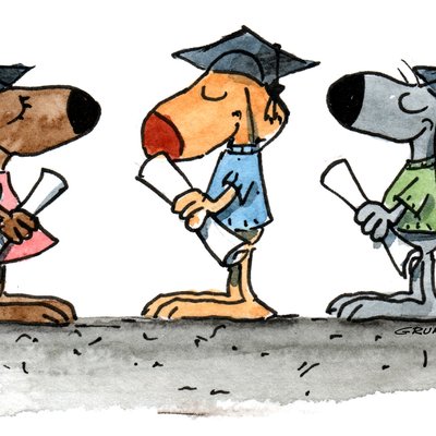 Fortgeschritten_WVZr2uo