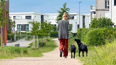Intensiv-Kurs Leinenführigkeit/Orientierung