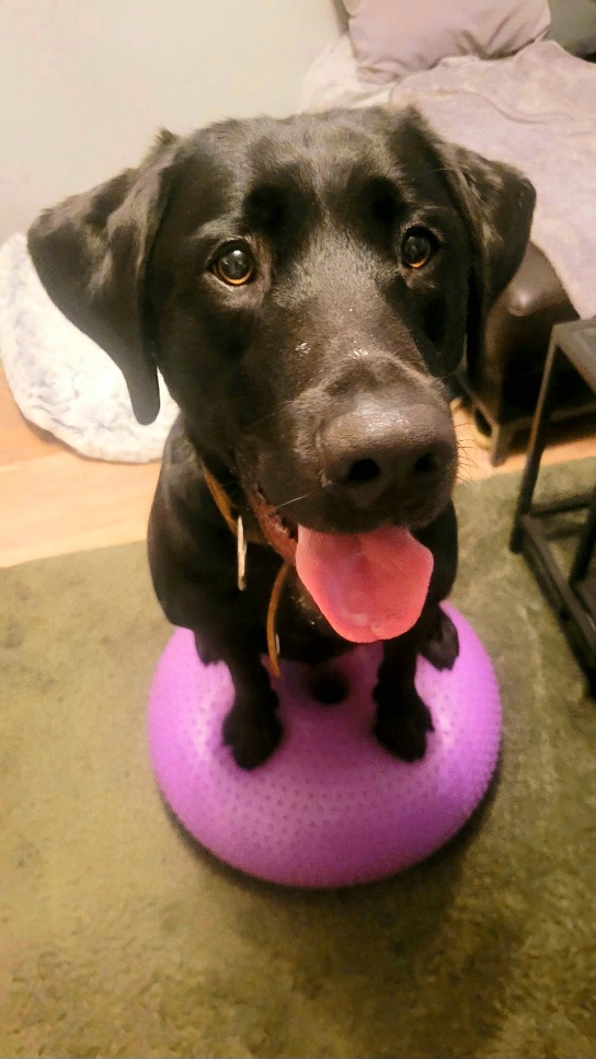 Milo